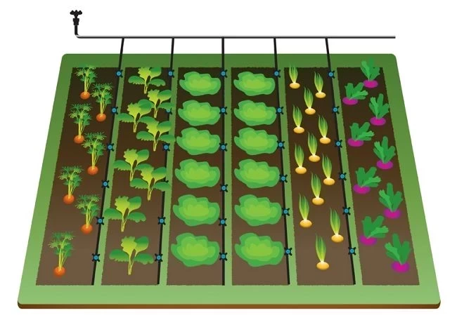 تجهیزات آبیاری قطره ای